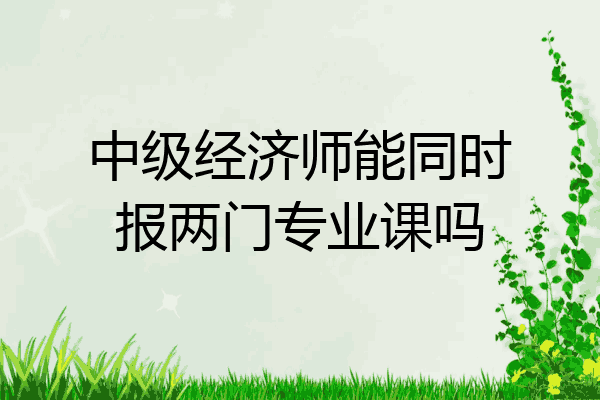 中级经济师能同时报两门专业课吗