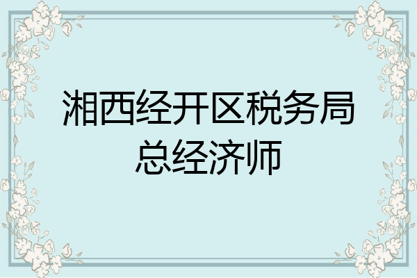 湘西经开区税务局总经济师