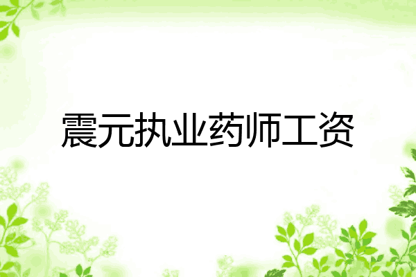 震元执业药师工资
