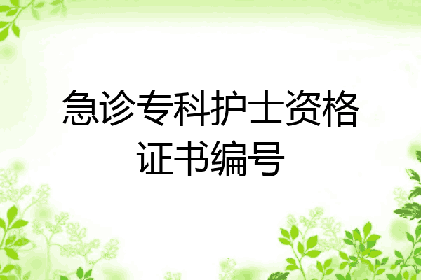 急诊专科护士资格证书编号
