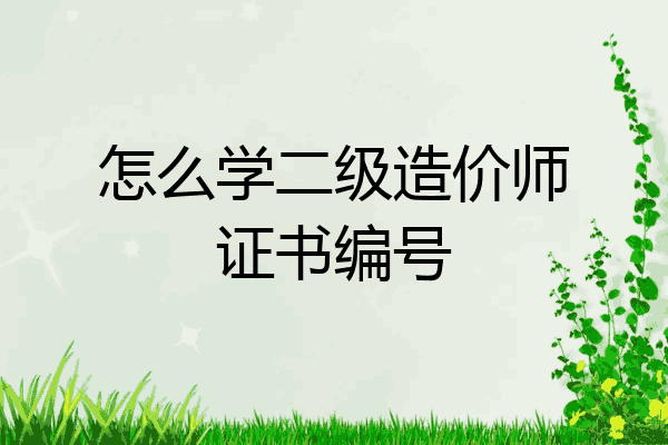 怎么学二级造价师证书编号