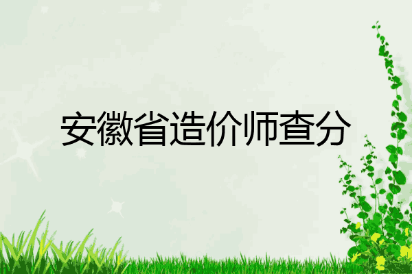 安徽省造价师查分