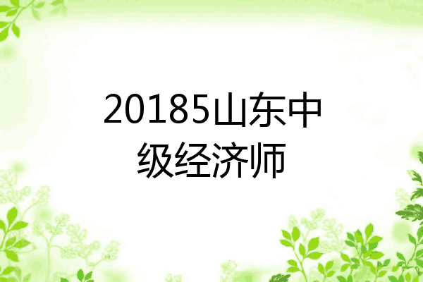 20185山东中级经济师