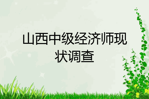 山西中级经济师现状调查