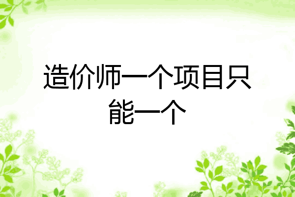 造价师一个项目只能一个