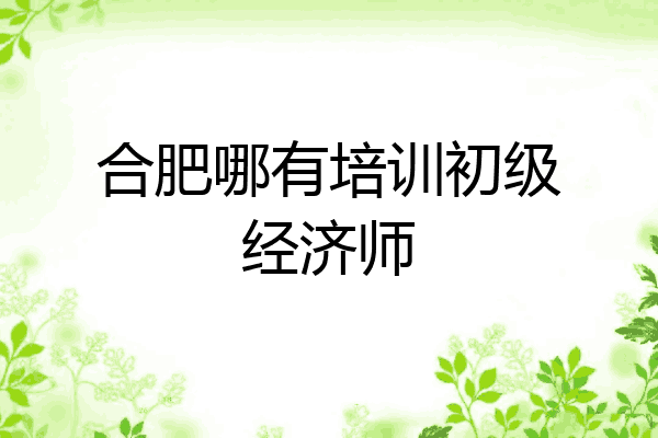 合肥哪有培训初级经济师