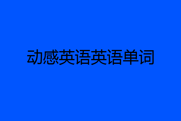 动感英语英语单词