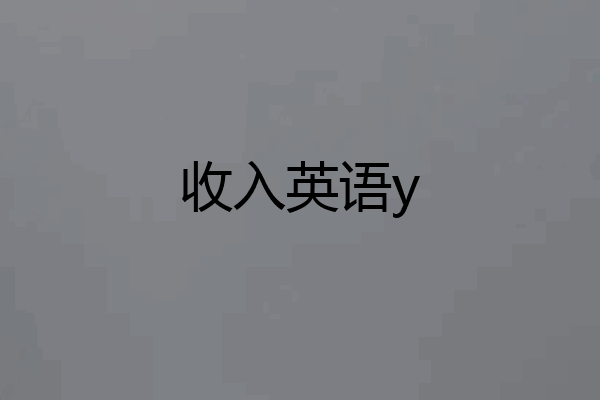 收入英语y