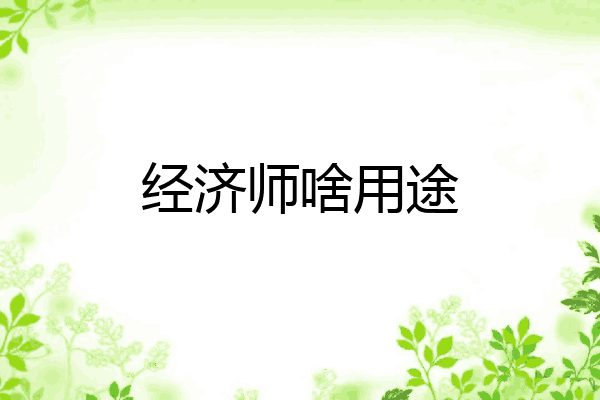 经济师啥用途