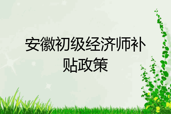 安徽初级经济师补贴政策