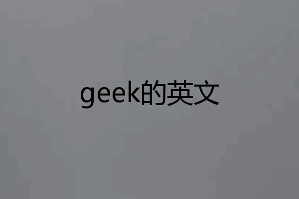 geek的英文