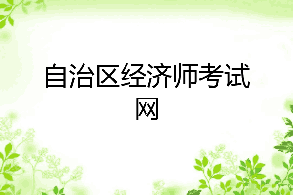 自治区经济师考试网