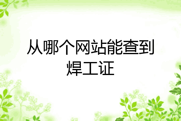 从哪个网站能查到焊工证