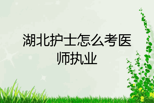 湖北护士怎么考医师执业