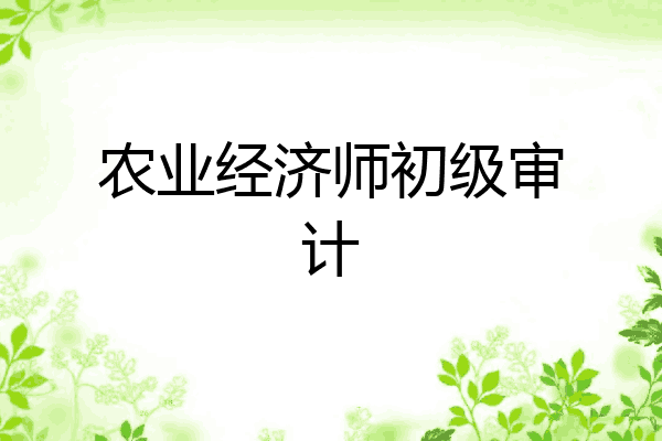 农业经济师初级审计