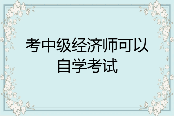 考中级经济师可以自学考试