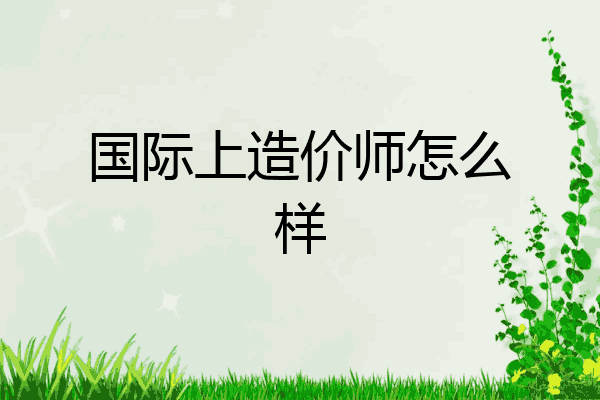 国际上造价师怎么样