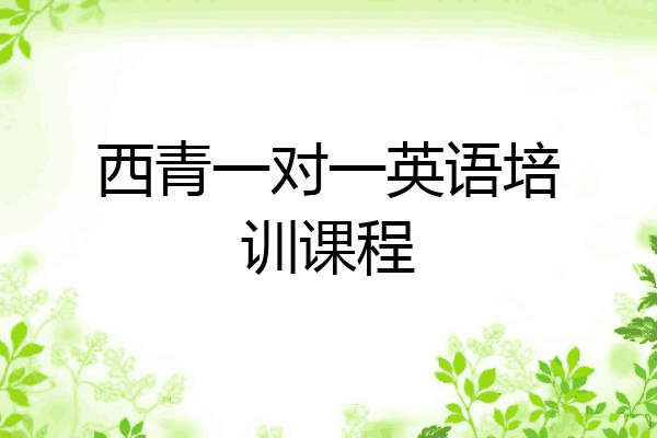 西青一对一英语培训课程