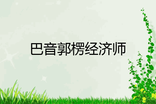 巴音郭楞经济师