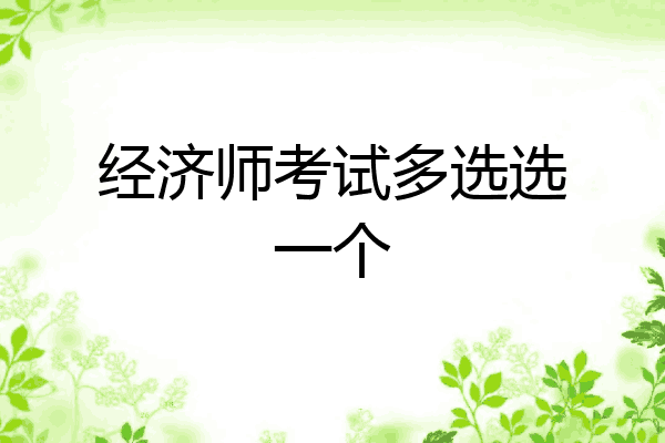 经济师考试多选选一个
