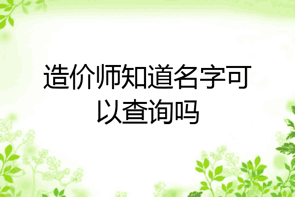 造价师知道名字可以查询吗