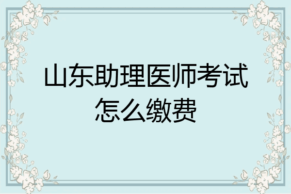 山东助理医师考试怎么缴费