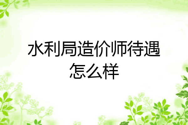 水利局造价师待遇怎么样