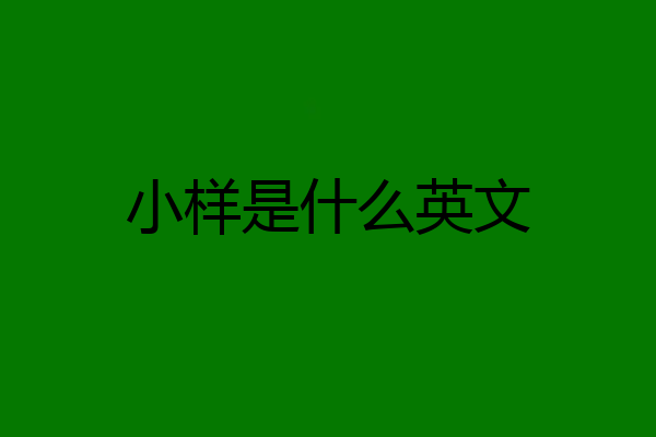 小样是什么英文