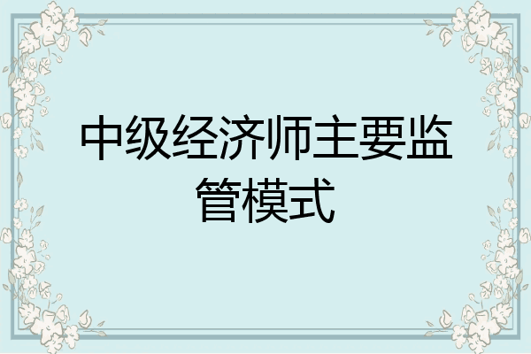 中级经济师主要监管模式