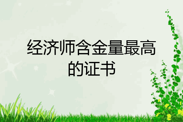 经济师含金量最高的证书