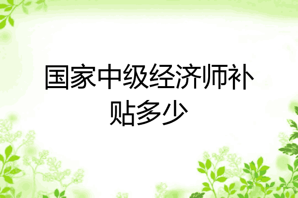 国家中级经济师补贴多少