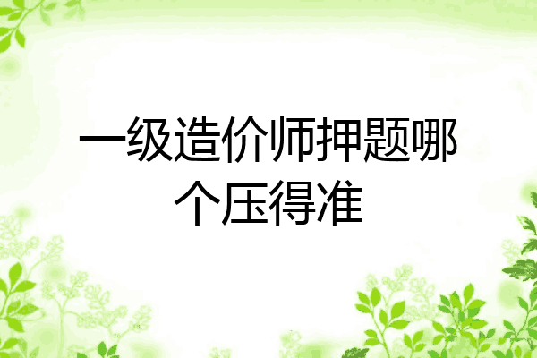 一级造价师押题哪个压得准