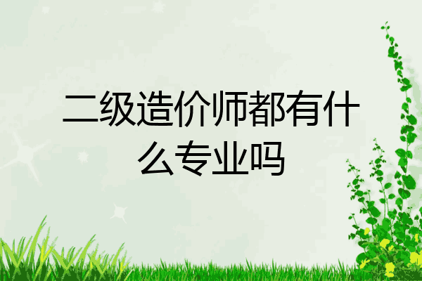 二级造价师都有什么专业吗