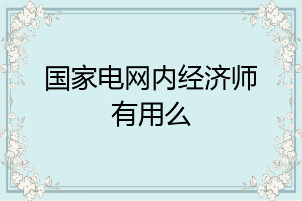 国家电网内经济师有用么