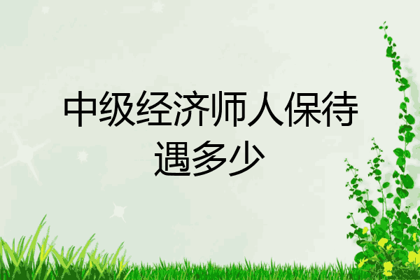 中级经济师人保待遇多少