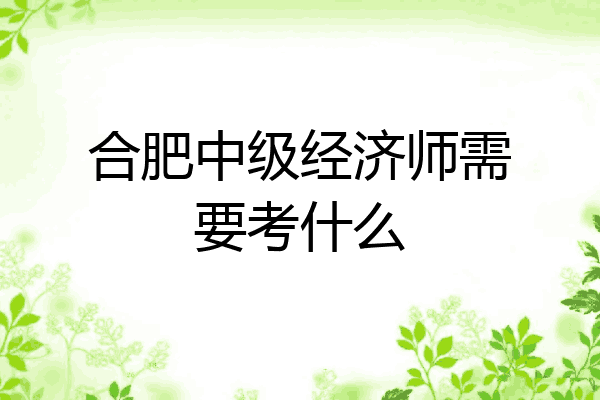 合肥中级经济师需要考什么