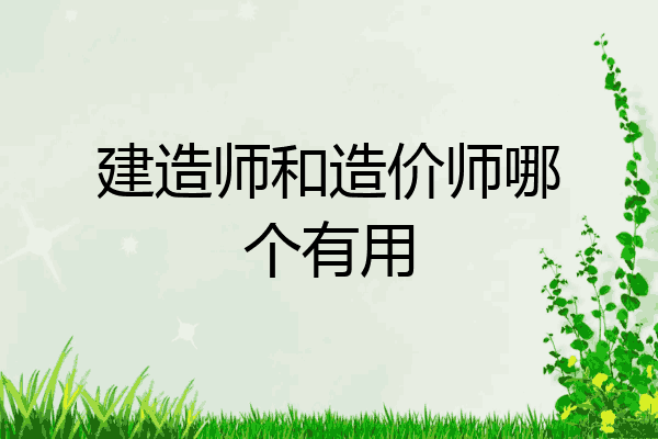 建造师和造价师哪个有用