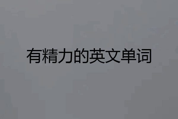 有精力的英文单词