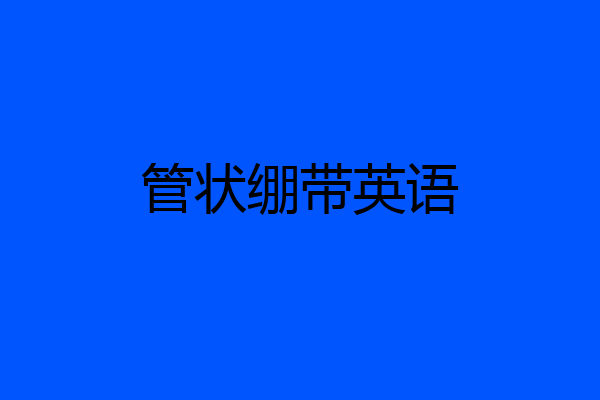 管状绷带英语