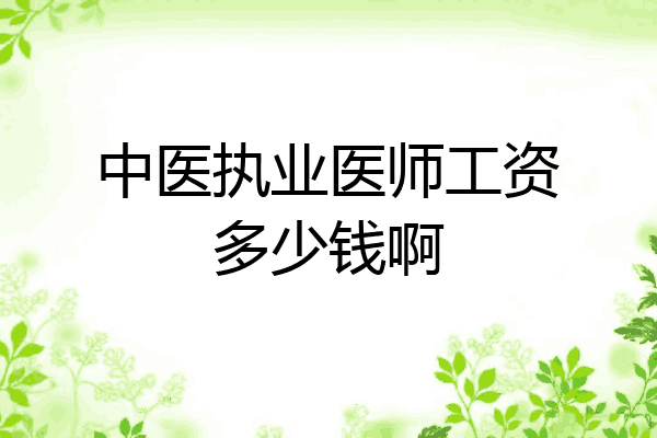 中医执业医师工资多少钱啊