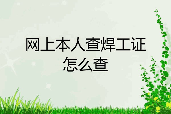 网上本人查焊工证怎么查