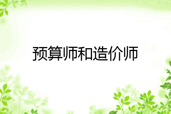 预算师和造价师