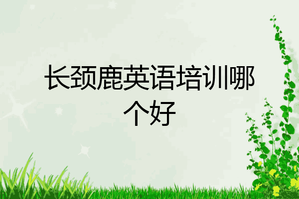 长颈鹿英语培训哪个好