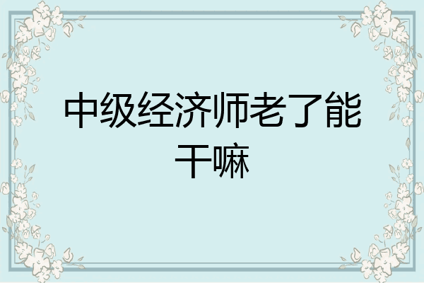 中级经济师老了能干嘛