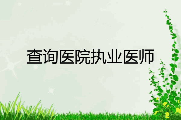 查询医院执业医师