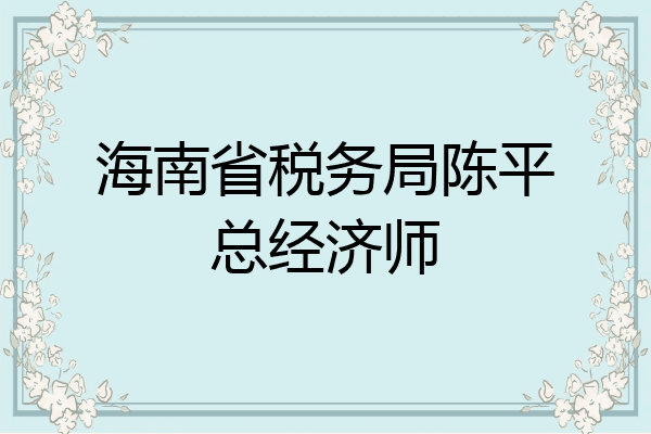 海南省税务局陈平总经济师