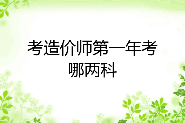 考造价师第一年考哪两科