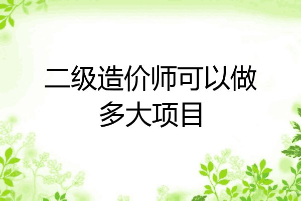 二级造价师可以做多大项目