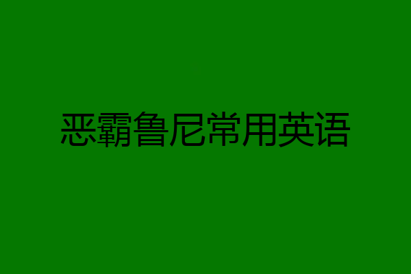恶霸鲁尼常用英语