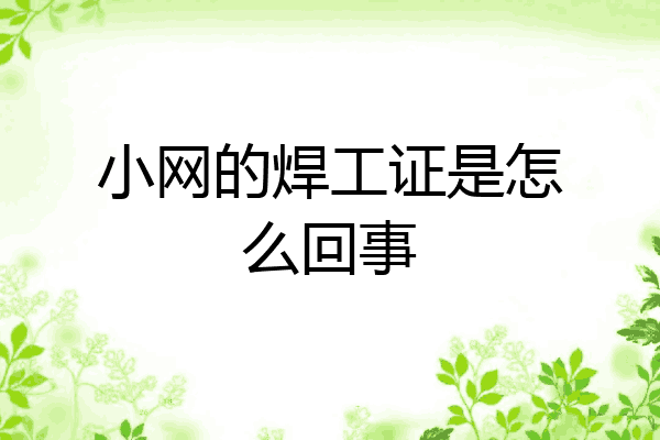 小网的焊工证是怎么回事